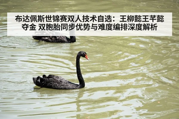 布达佩斯世锦赛双人技术自选：王柳懿王芊懿夺金 双胞胎同步优势与难度编排深度解析