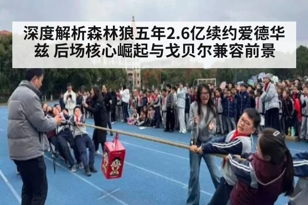 深度解析森林狼五年2.6亿续约爱德华兹 后场核心崛起与戈贝尔兼容前景