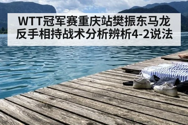 WTT冠军赛重庆站樊振东马龙反手相持战术分析辨析4-2说法